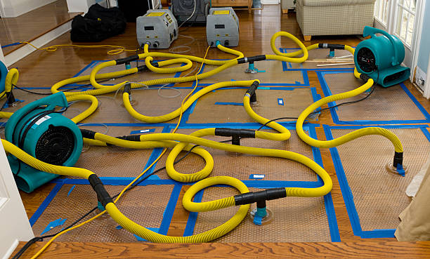 Professional Storm Water Damage Restoration technician working in Hernando, MS